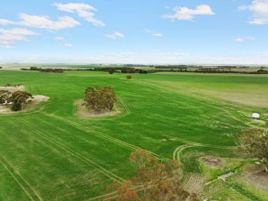 Cropping For Sale - VIC - Shelford - 3329 - ATTRACTIVE QUALITY SHELFORD DISTRICT PROPERTY  (Image 2)