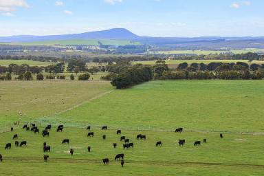 Cropping For Sale - VIC - Mount Mercer - 3352 - SIGNIFICANT HISTORIC SOUTHERN VIC PROPERTY  (Image 2)