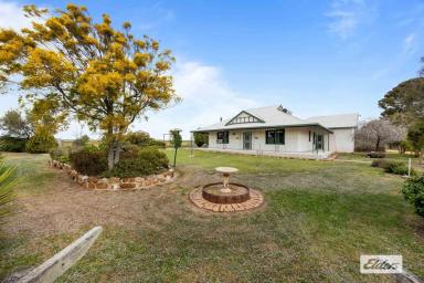 Acreage/Semi-rural For Sale - VIC - Marnoo - 3387 - Beautifully Maintained Horse Property/Hobby Farm  (Image 2)