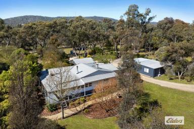 Acreage/Semi-rural For Sale - VIC - Harcourt - 3453 - FULLY RENOVATED COUNTRY COTTAGE IN A PARKLIKE SETTING  (Image 2)