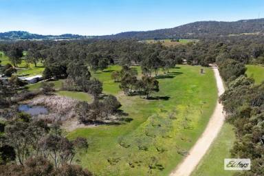 Acreage/Semi-rural For Sale - VIC - Harcourt - 3453 - FULLY RENOVATED COUNTRY COTTAGE IN A PARKLIKE SETTING  (Image 2)