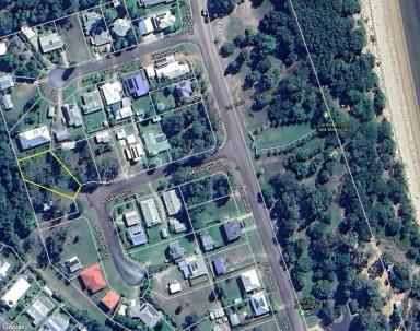 Residential Block For Sale - QLD - Cardwell - 4849 - Residential Land in Quiet Cul-De-Sac - Cardwell  (Image 2)