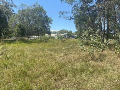 Residential Block For Sale - QLD - Cardwell - 4849 - Residential Land in Quiet Cul-De-Sac - Cardwell  (Image 2)