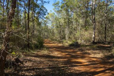 Mixed Farming For Sale - QLD - Blackbutt - 4314 - Rare 1351.17 acres Land Potential in Blackbutt QLD  (Image 2)