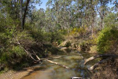 Mixed Farming For Sale - QLD - Blackbutt - 4314 - Rare 1351.17 acres Land Potential in Blackbutt QLD  (Image 2)