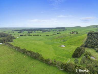 Horticulture For Sale - VIC - Outtrim - 3951 - UNIQUE LIFESTYLE OPPORTUNITY  (Image 2)