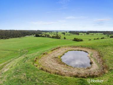 Horticulture For Sale - VIC - Outtrim - 3951 - UNIQUE LIFESTYLE OPPORTUNITY  (Image 2)