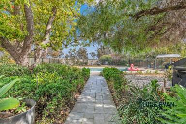 House For Sale - VIC - Rochester - 3561 - SUMMER STARTS HERE WIITH SPARKLING POOL & STUNNINGLY RENOVATED HOME  (Image 2)