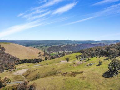 Residential Block For Sale - NSW - Argalong - 2720 - Lifestyle & Views!  (Image 2)