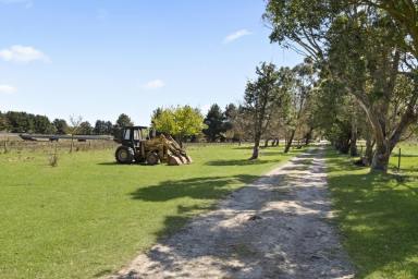 Mixed Farming Sold - NSW - Laggan - 2583 - "Barooga" beckons!  (Image 2)