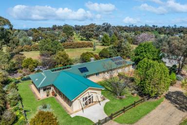 Lifestyle For Sale - NSW - Cowra - 2794 - CHARMING HOME ON 4.96 ACRES* OF PICTURESQUE COUNTRYSIDE!  (Image 2)