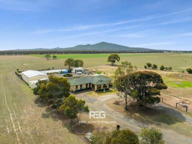 Acreage/Semi-rural For Sale - VIC - Lara - 3212 - Must be sold!  (Image 2)