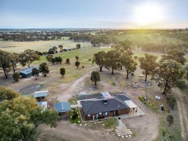 House For Sale - VIC - Shelbourne - 3515 - Ultimate in Country Living: Modern Home on 15 Acres with Excellent Shedding  (Image 2)