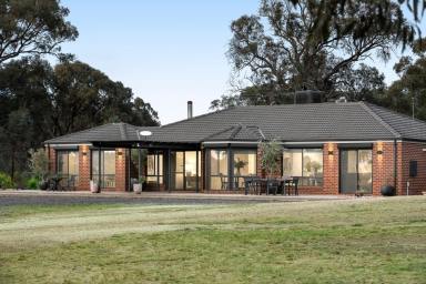 House For Sale - VIC - Shelbourne - 3515 - Ultimate in Country Living: Modern Home on 15 Acres with Excellent Shedding  (Image 2)