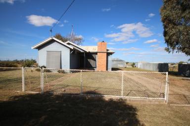 House Sold - VIC - Mitiamo - 3573 - COUNTRY LIVING ON SPACIOUS BLOCK  (Image 2)