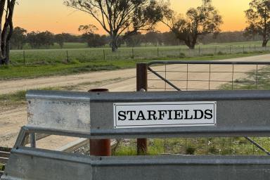 Mixed Farming For Sale - NSW - Wallendbeen - 2588 - Starfields - Prime Wallendbeen Mixed Farming  (Image 2)