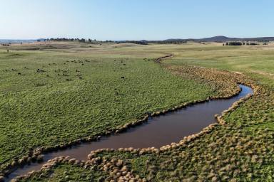 Mixed Farming For Sale - NSW - Goulburn - 2580 - Blue Ribbon 'Rosedale'  (Image 2)