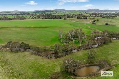 Mixed Farming For Sale - VIC - Crowlands - 3377 - 137 Acres - Mixed Farming With Options  (Image 2)