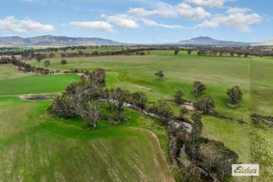 Mixed Farming For Sale - VIC - Crowlands - 3377 - 137 Acres - Mixed Farming With Options  (Image 2)