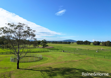 Acreage/Semi-rural For Sale - NSW - Worrigee - 2540 - Dream Horse Property in Serene Country Setting  (Image 2)