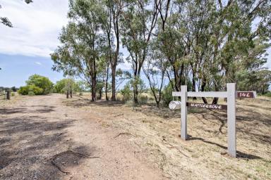 Farmlet Leased - NSW - Dubbo - 2830 - Five-Bedroom Home Offering the Best of Rural Living and Urban Convenience  (Image 2)