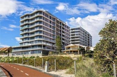 Apartment Leased - WA - Scarborough - 6019 - Luxury Apartment 170 meters from the Scarborough Beach, Perth  (Image 2)