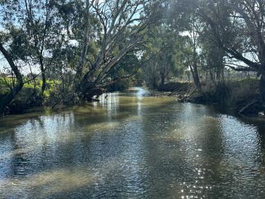 Mixed Farming For Sale - NSW - Tarcutta - 2652 - IRRIGATION / LIVESTOCK FATTENING / FODDER PRODUCTION  (Image 2)