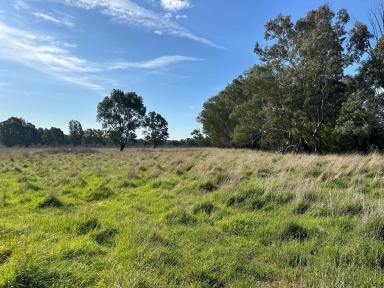 Mixed Farming For Sale - NSW - Tarcutta - 2652 - IRRIGATION / LIVESTOCK FATTENING / FODDER PRODUCTION  (Image 2)