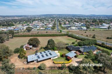 Acreage/Semi-rural For Sale - NSW - Inverell - 2360 - POSITION, PRIVACY, PERFECTION  (Image 2)