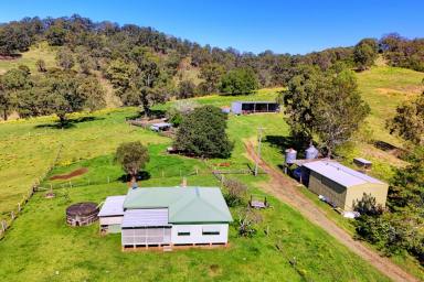 Acreage/Semi-rural For Sale - NSW - Krambach - 2429 - Outstanding Acreage Property In A Great Location!  (Image 2)