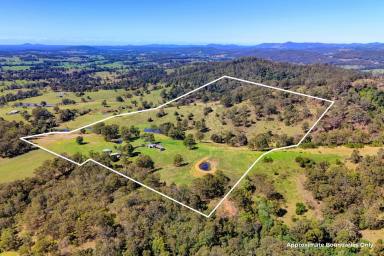 Acreage/Semi-rural For Sale - NSW - Krambach - 2429 - Outstanding Acreage Property In A Great Location!  (Image 2)