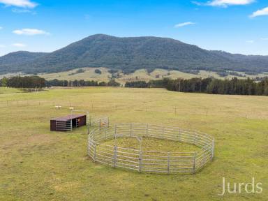 Lifestyle For Sale - NSW - Stanhope - 2335 - DREAM HUNTER VALLEY LIFESTYLE PROPERTY  (Image 2)