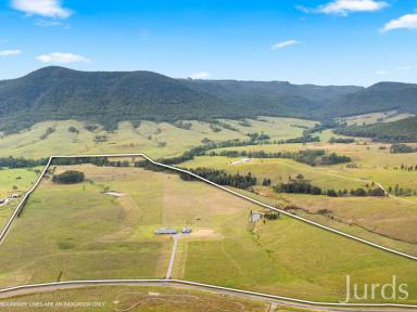 Lifestyle For Sale - NSW - Stanhope - 2335 - DREAM HUNTER VALLEY LIFESTYLE PROPERTY  (Image 2)