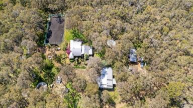 Acreage/Semi-rural For Sale - WA - Margaret River - 6285 - Your Forest Retreat  (Image 2)