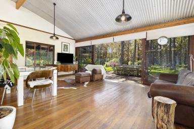 Acreage/Semi-rural For Sale - WA - Margaret River - 6285 - Your Forest Retreat  (Image 2)