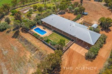 Acreage/Semi-rural For Sale - WA - Muluckine - 6401 - "The Perfect Christmas Present"  (Image 2)