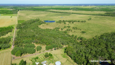 Cropping For Sale - QLD - South Kolan - 4670 - 160 Cultivated Acre Farm with 8" Outlet  (Image 2)