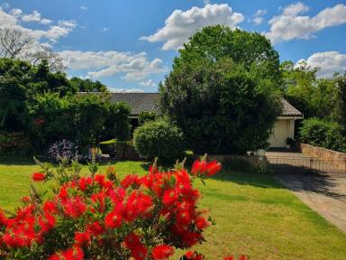 House Sold - NSW - Muswellbrook - 2333 - ABSOLUTE CENTRE OF TOWN THIS WELL ESTABLISHED 3 B/r HOME WITH DOUBLE GARAGE-WORKSHOP AND BACK GARDEN DECK  (Image 2)