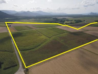 Cropping For Sale - QLD - Macknade - 4850 - CANE FARM - MACKNADE!  (Image 2)