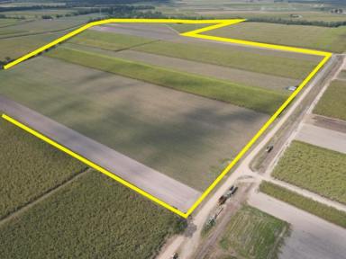 Cropping For Sale - QLD - Bemerside - 4850 - CANE FARM - BEMERSIDE AREA!  (Image 2)