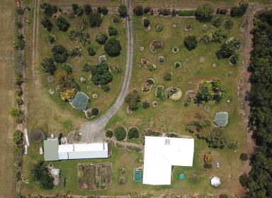 House For Sale - QLD - Cardwell - 4849 - Sea Change in Tropical Paradise -  4 large bedrooms, 2 bathrooms & large sheds  (Image 2)