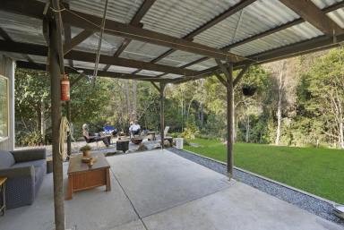 Lifestyle Sold - NSW - Belbora - 2422 - Escape to Tranquility: 101 Acres of Natural Beauty  (Image 2)