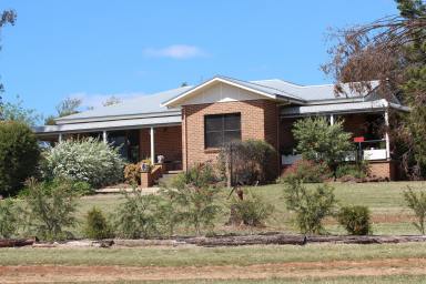 Acreage/Semi-rural For Sale - NSW - Inverell - 2360 - LIVE, LAUGH, LOVE at Triple L  (Image 2)