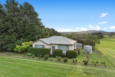 Acreage/Semi-rural Sold - VIC - Labertouche - 3816 - The Perfect Setting  (Image 2)