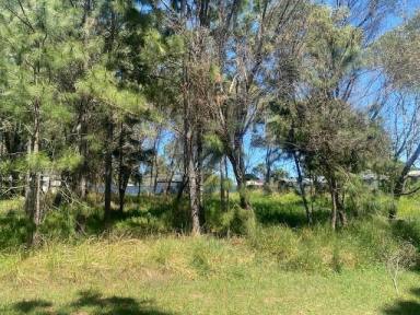 Residential Block For Sale - QLD - Macleay Island - 4184 - Very quiet street  (Image 2)