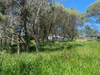 Residential Block For Sale - QLD - Macleay Island - 4184 - Very quiet street  (Image 2)