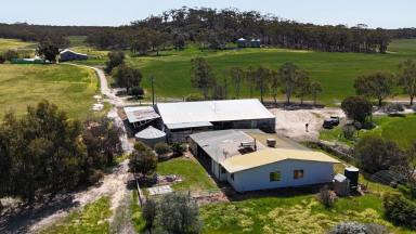 Other (Rural) For Sale - WA - Quairading - 6383 - Stunning Rural Retreat - Proposed Lot 101 Hayes Rd, Dulbelling        14.27ha (35 acres)  (Image 2)