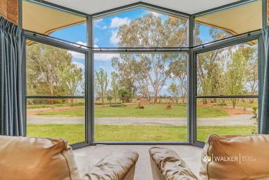 Lifestyle For Sale - VIC - Stanhope - 3623 - Deer Me… What A Property!  (Image 2)