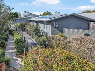 Office(s) For Lease - NSW - Moss Vale - 2577 - State of the Art - Medical or Consulting  (Image 2)