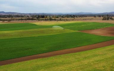 Residential Block For Sale - QLD - Scrub Creek - 4313 - 38.35ha Lucerne Farm  (Image 2)